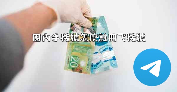 國內手機號怎麼註冊飞機號