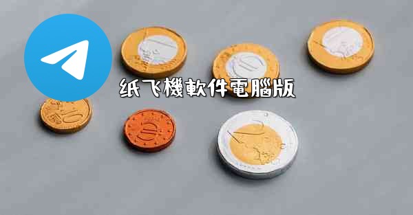 纸飞機軟件電腦版