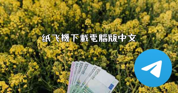 纸飞機下載電腦版中文