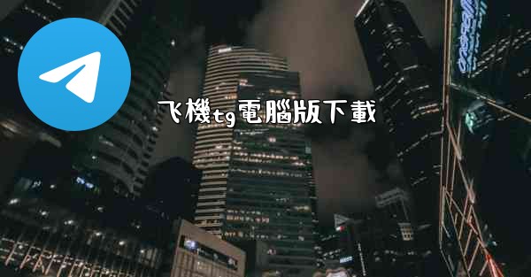 飞機tg電腦版下載