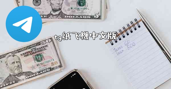 tg纸飞機中文版