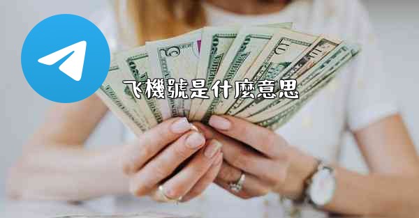 飞機號是什麼意思