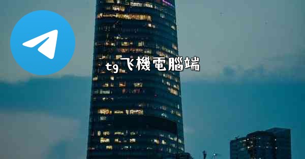 tg飞機電腦端