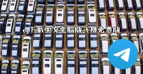 tg下載中文電腦版飞機免费版