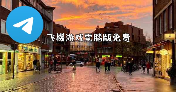 飞機游戏電腦版免费