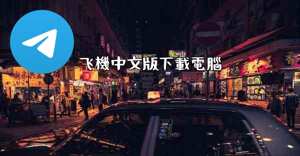 飞機中文版下載電腦