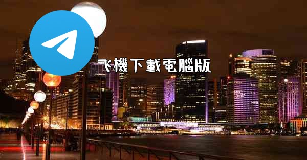 飞機下載電腦版