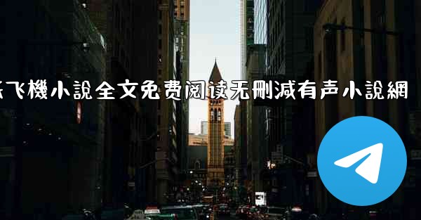 纸飞機小說全文免费阅读无刪減有声小說網