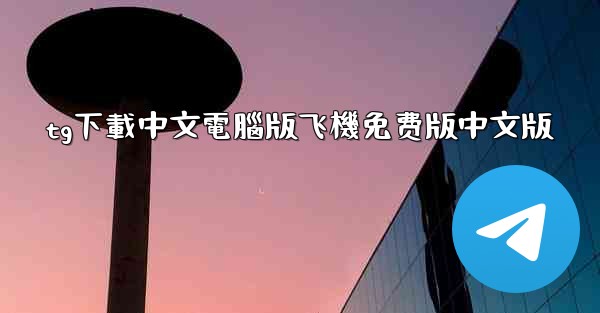 tg下載中文電腦版飞機免费版中文版