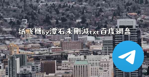 纸飞機by潭石未刪減txt百度網盘