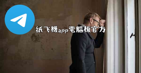 纸飞機app電腦板官方