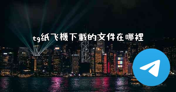 tg纸飞機下載的文件在哪裡