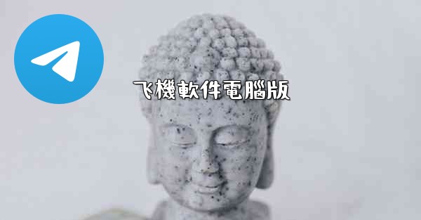 飞機軟件電腦版