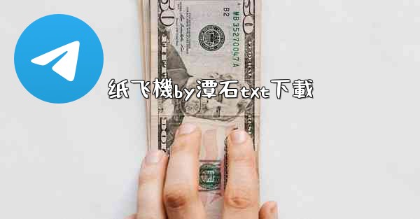 纸飞機by潭石txt下載