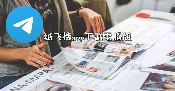 纸飞機app下載電腦版