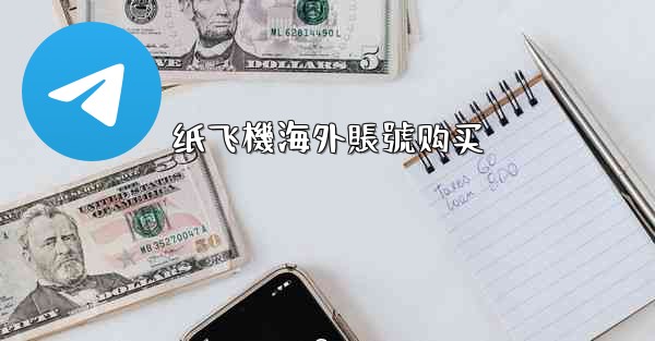 纸飞機海外賬號购买