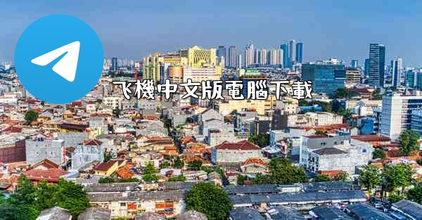 飞機中文版電腦下載