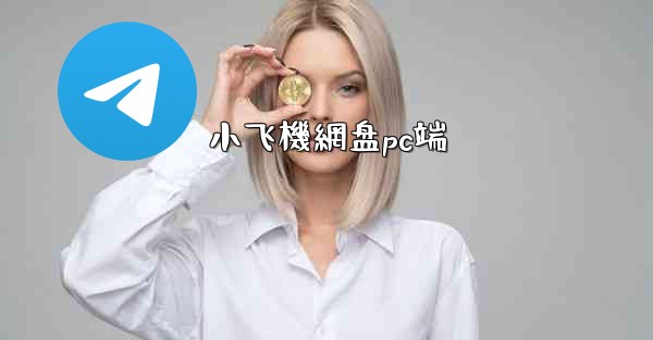 小飞機網盘pc端