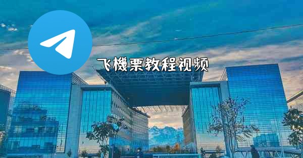 飞機票教程视频