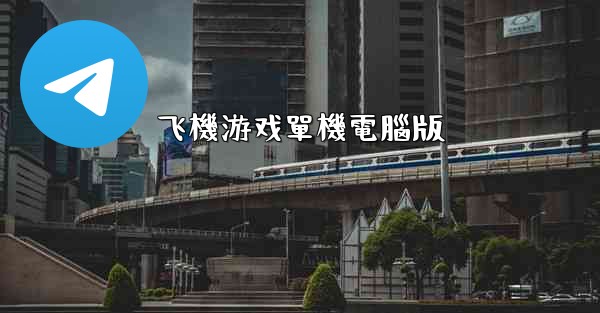 飞機游戏單機電腦版