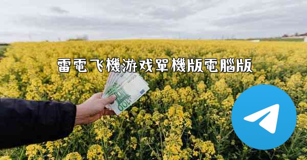 雷電飞機游戏單機版電腦版