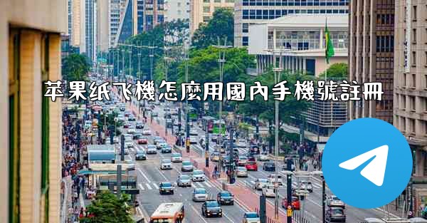 苹果纸飞機怎麼用國內手機號註冊