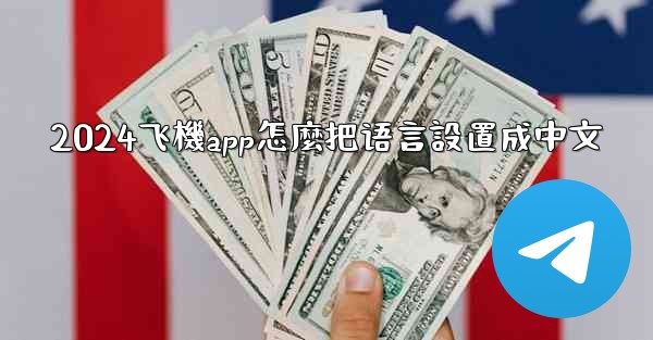 2024飞機app怎麼把语言設置成中文