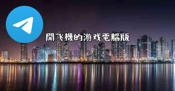 開飞機的游戏電腦版