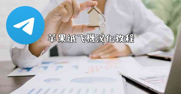 苹果纸飞機汉化教程