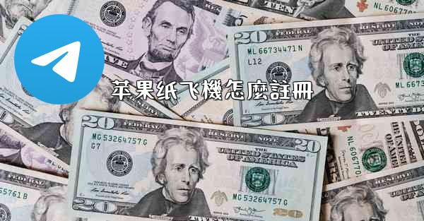 苹果纸飞機怎麼註冊