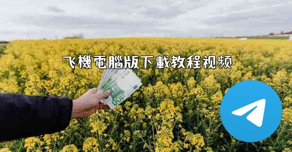 飞機電腦版下載教程视频