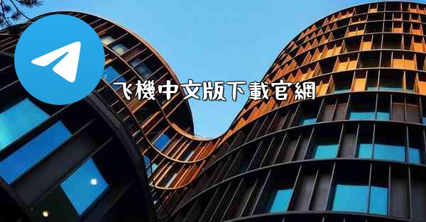 飞機中文版下載官網