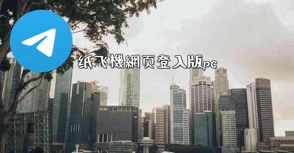 纸飞機網页登入版pc