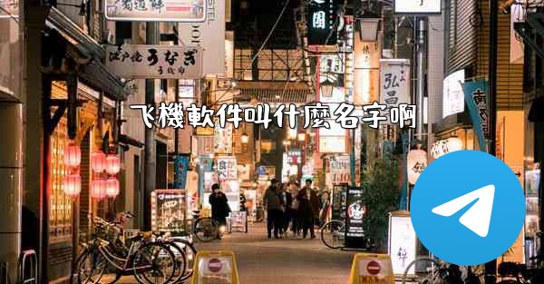 飞機軟件叫什麼名字啊