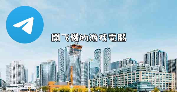 開飞機的游戏電腦