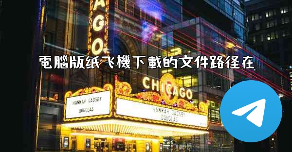 電腦版纸飞機下載的文件路径在