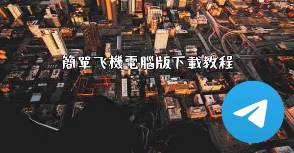 簡單飞機電腦版下載教程