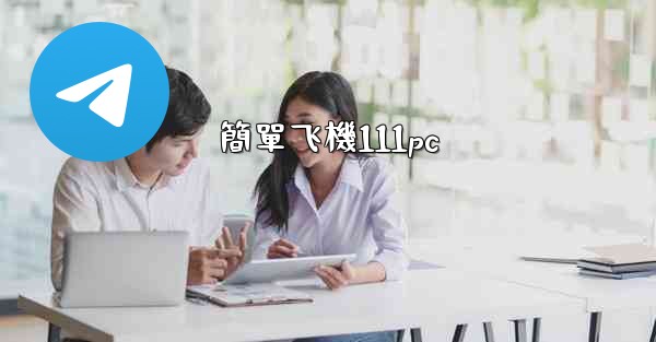 簡單飞機111pc