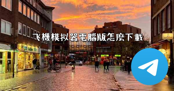 飞機模拟器電腦版怎麼下載