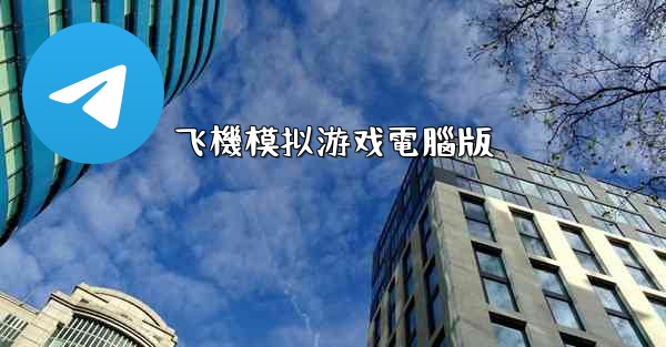 飞機模拟游戏電腦版