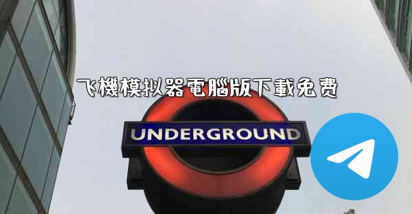 飞機模拟器電腦版下載免费