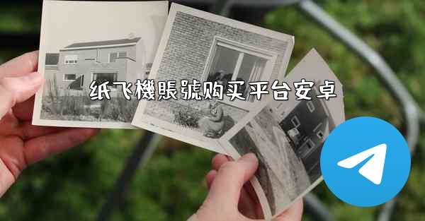 纸飞機賬號购买平台安卓