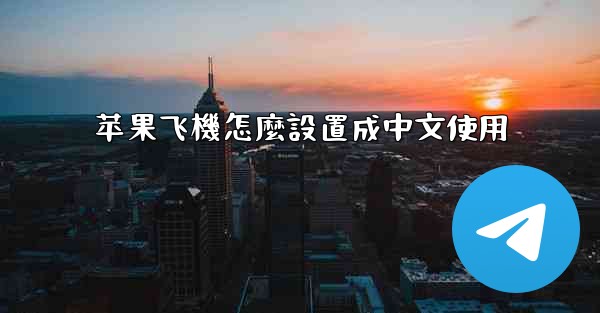 苹果飞機怎麼設置成中文使用