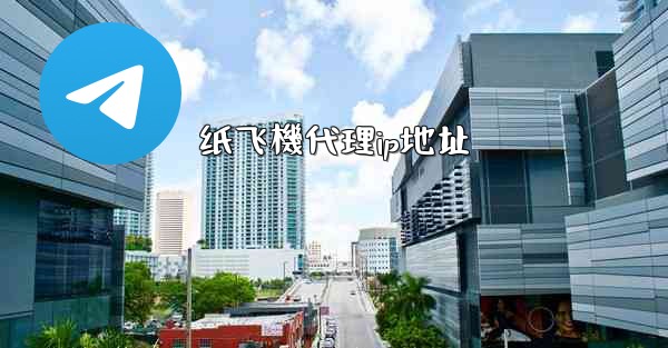 纸飞機代理ip地址