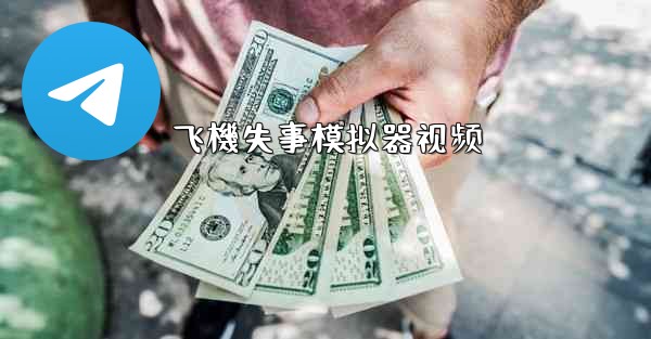 飞機失事模拟器视频