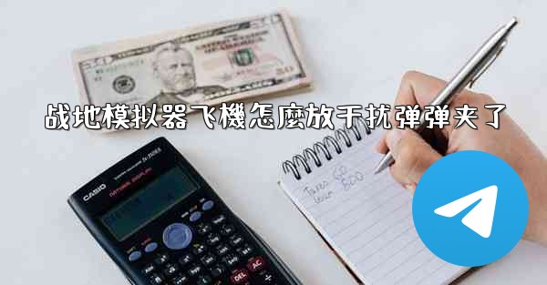 战地模拟器飞機怎麼放干扰弹弹夹了