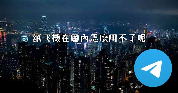 纸飞機在國內怎麼用不了呢