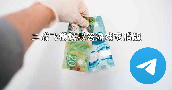 二战飞機模拟器游戏電腦版