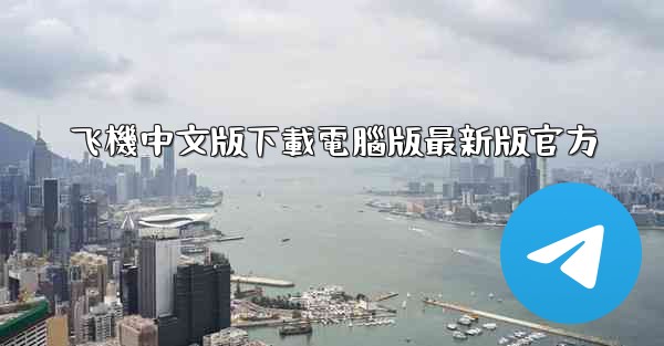 飞機中文版下載電腦版最新版官方