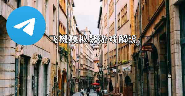 飞機模拟器游戏解說